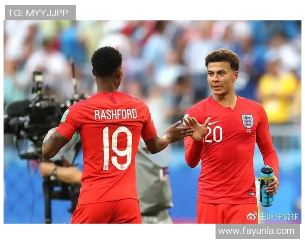 捷克与比利时激战正酣足球盛宴引发球迷热情高涨